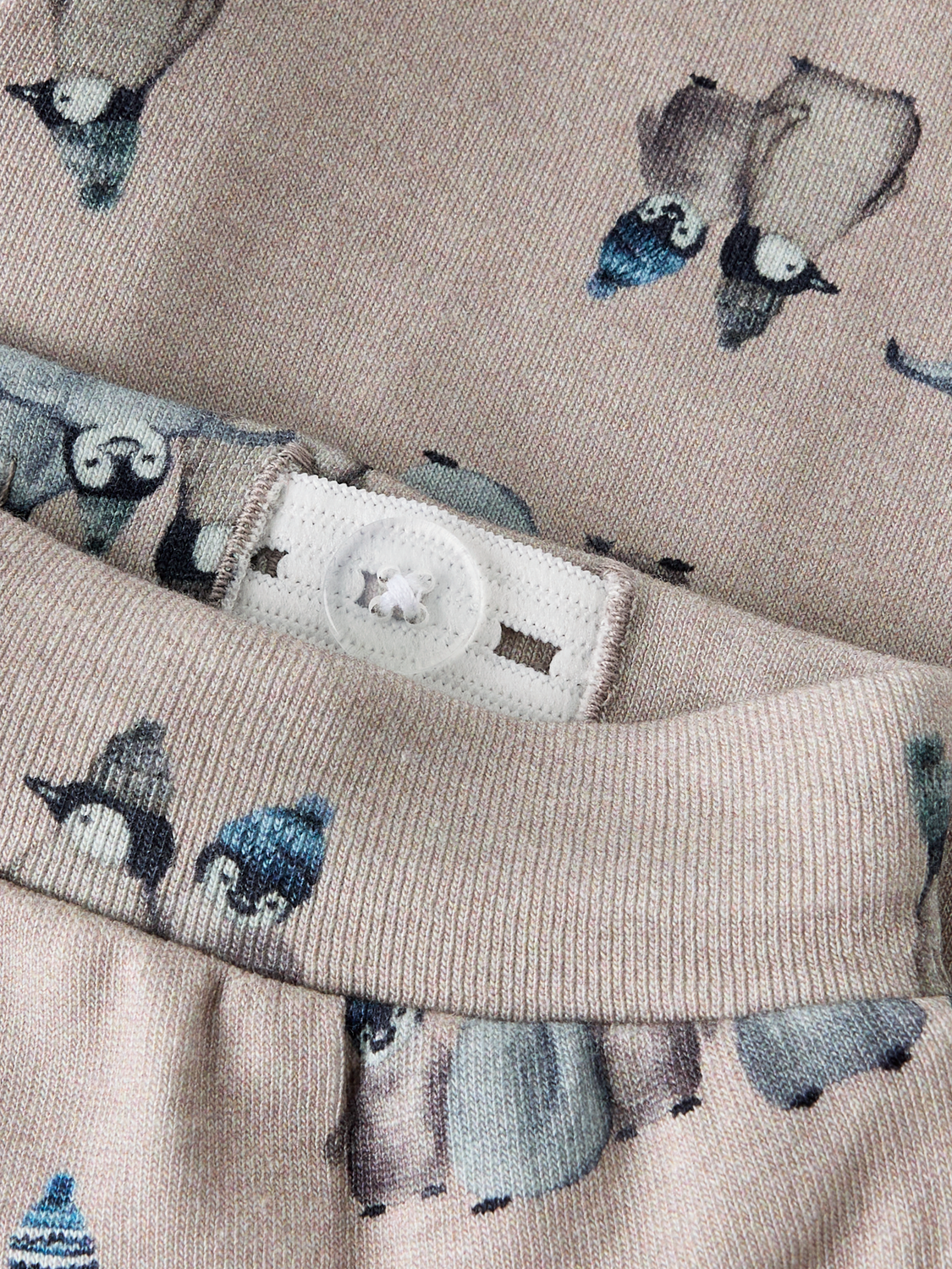 model_shot-front_full